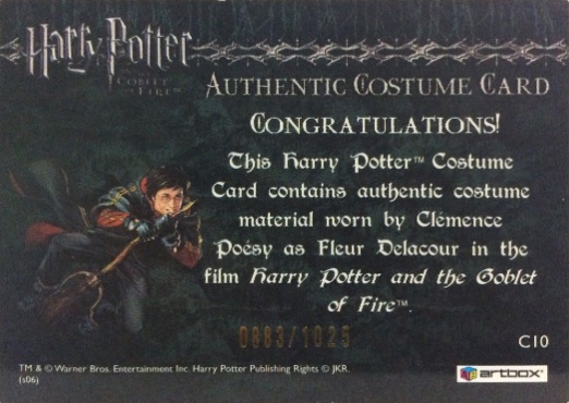 C10 - Fleur Delacour's First Task Costume - Back