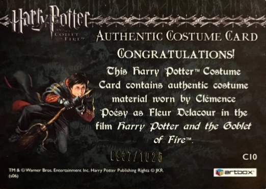 C10 - Fleur Delacour's First Task Costume - Back