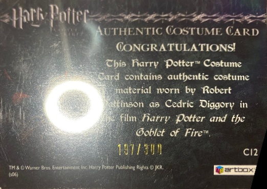 C12 - Cedrick Diggory's Third Task Costume - Back