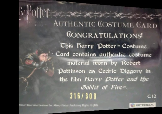 C12 - Cedrick Diggory's Third Task Costume - Back