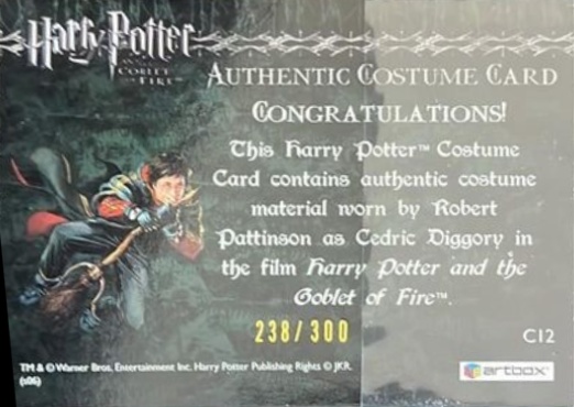 C12 - Cedrick Diggory's Third Task Costume - Back