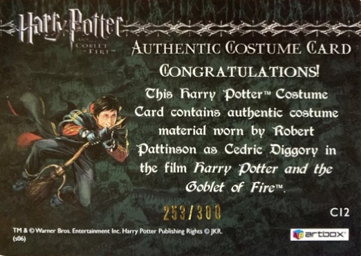 C12 - Cedrick Diggory's Third Task Costume - Back