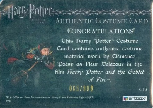 C13 - Fleur Delacour's Third Task Costume - Back