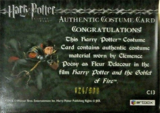 C13 - Fleur Delacour's Third Task Costume - Back