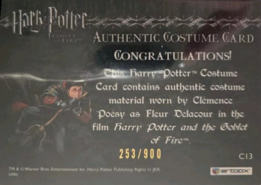 C13 - Fleur Delacour's Third Task Costume - Back