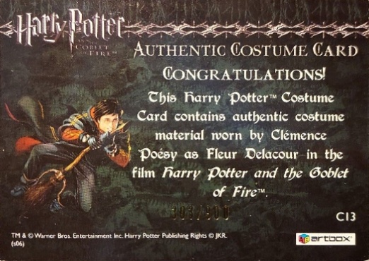 C13 - Fleur Delacour's Third Task Costume - Back