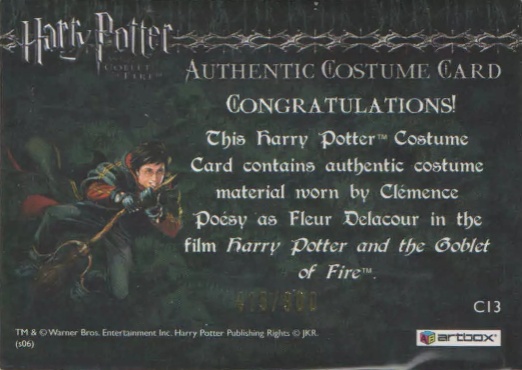 C13 - Fleur Delacour's Third Task Costume - Back