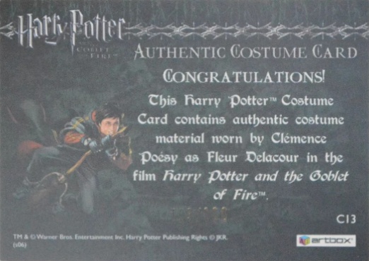 C13 - Fleur Delacour's Third Task Costume - Back