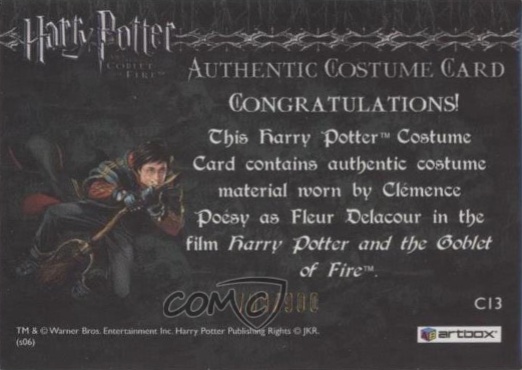 C13 - Fleur Delacour's Third Task Costume - Back