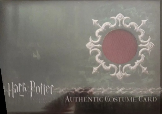 C14 - Harry Potter's Second Task Costume - Front