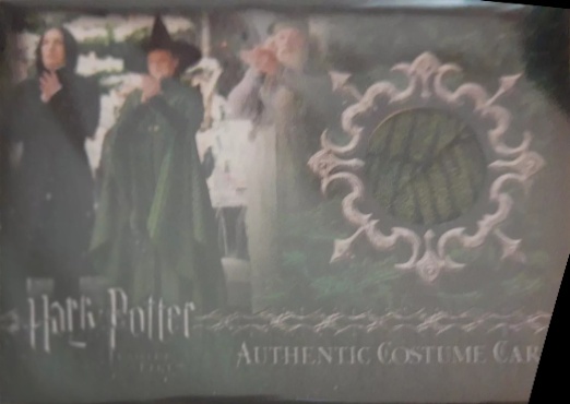 C3 - Minerva McGonagall's Yule Ball Robe