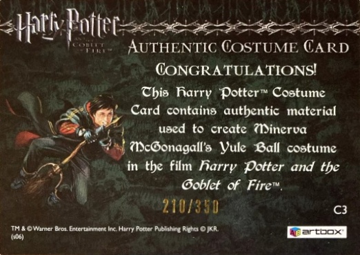 C3 - Minerva McGonagall's Yule Ball Robe - Back