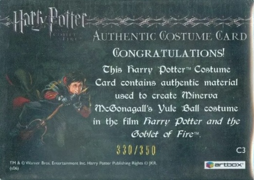 C3 - Minerva McGonagall's Yule Ball Robe - Back