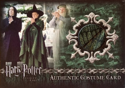 C3 - Minerva McGonagall's Yule Ball Robe - Front