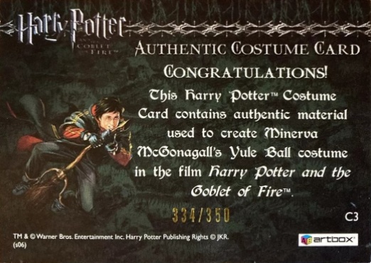 C3 - Minerva McGonagall's Yule Ball Robe - Back