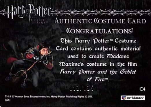 C4 - Madame Maxime's Yule Ball Dress - Back