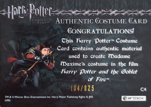 C4 - Madame Maxime's Yule Ball Dress - Back