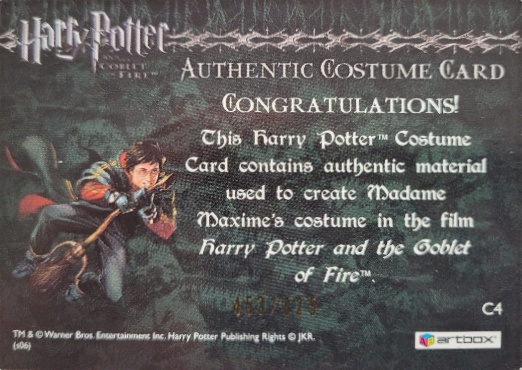 C4 - Madame Maxime's Yule Ball Dress - Back