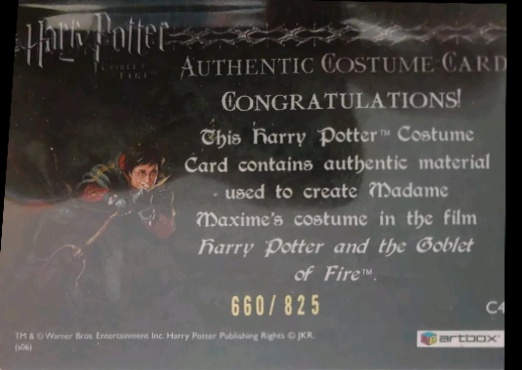 C4 - Madame Maxime's Yule Ball Dress - Back