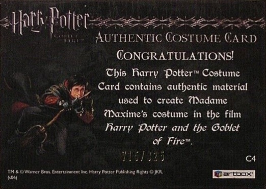 C4 - Madame Maxime's Yule Ball Dress - Back