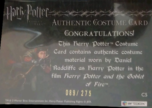 C5 -  Harry Potter's First Task Robe - Back