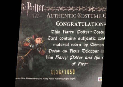 C6 - Fleur Delacour's Yule Ball Dress - Back