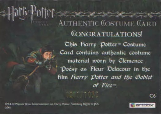 C6 - Fleur Delacour's Yule Ball Dress - Back