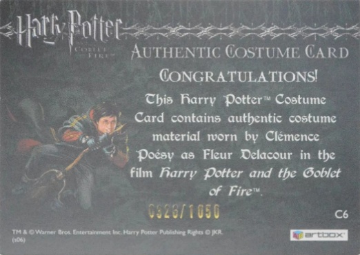 C6 - Fleur Delacour's Yule Ball Dress - Back