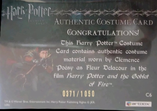 C6 - Fleur Delacour's Yule Ball Dress - Back