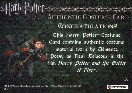 C6 - Fleur Delacour's Yule Ball Dress - Back