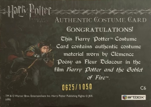 C6 - Fleur Delacour's Yule Ball Dress - Back