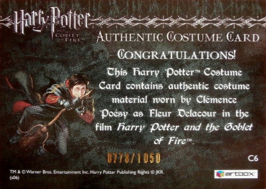 C6 - Fleur Delacour's Yule Ball Dress - Back