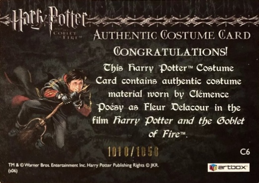 C6 - Fleur Delacour's Yule Ball Dress - Back