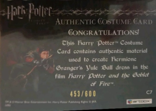 C7 - Hermione's Granger's Yule Ball Dress - Back