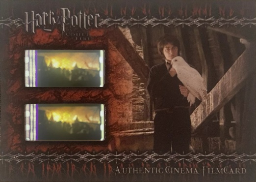 CFC7 - Harry in the Owlery