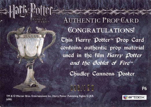 P6 - Chudley Cannons Poster - Back