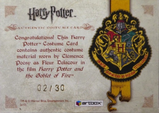 Fleur Delacour's First Task Glove - Back