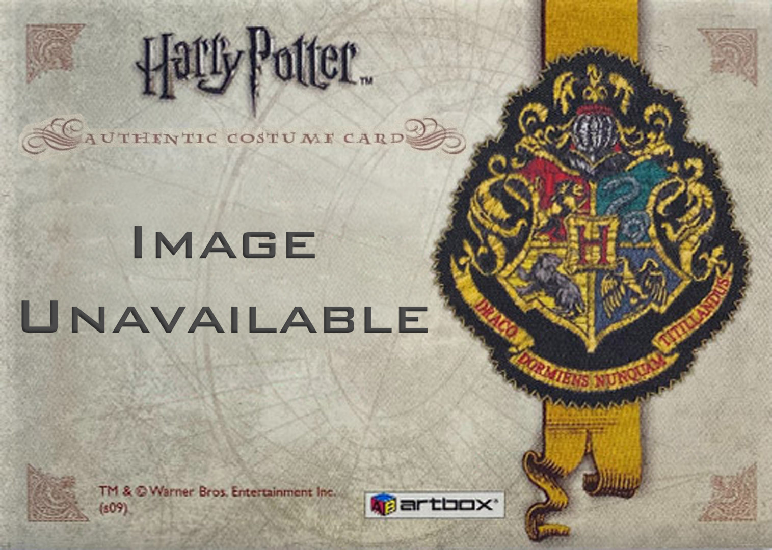 Ron Weasley's Quidditch Costume Detail - Back