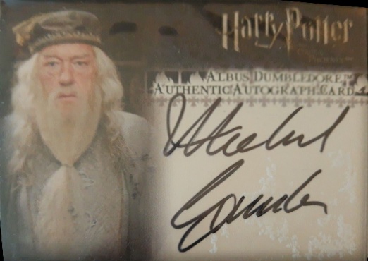 Michael Gambon as Albud Dumbledore