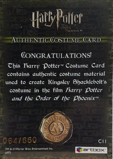 C11 - Kingsley Shacklebolt's Costume - Back