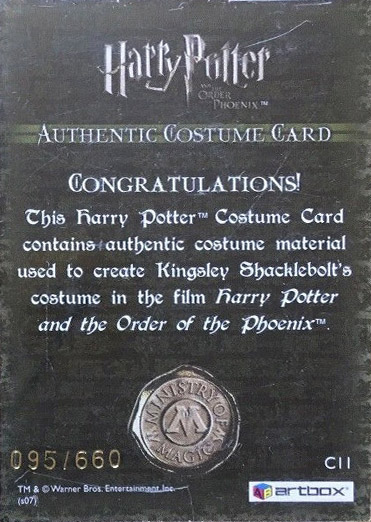 C11 - Kingsley Shacklebolt's Costume - Back