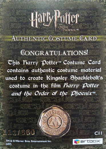 C11 - Kingsley Shacklebolt's Costume - Back