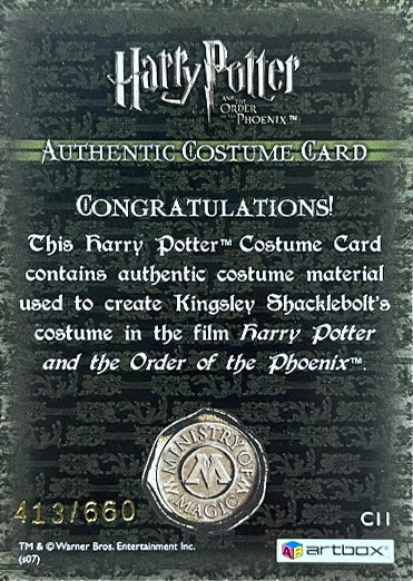 C11 - Kingsley Shacklebolt's Costume - Back