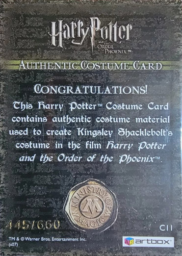 C11 - Kingsley Shacklebolt's Costume - Back