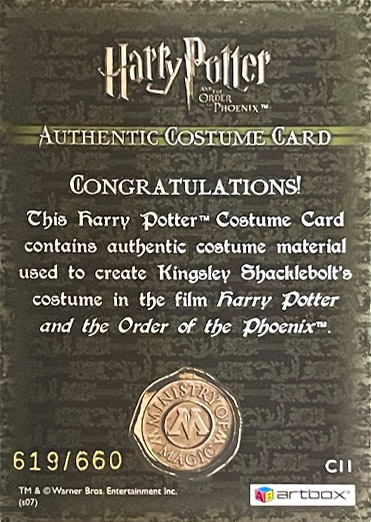 C11 - Kingsley Shacklebolt's Costume - Back