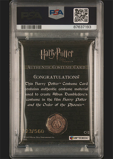 C12 - Albus Dumbledore's Costume - Back