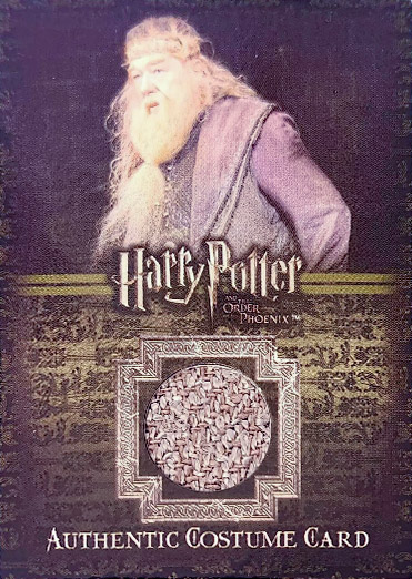 C12 - Albus Dumbledore's Costume - Front