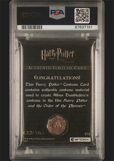 C12 - Albus Dumbledore's Costume - Back