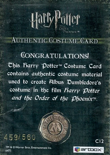 C12 - Albus Dumbledore's Costume - Back