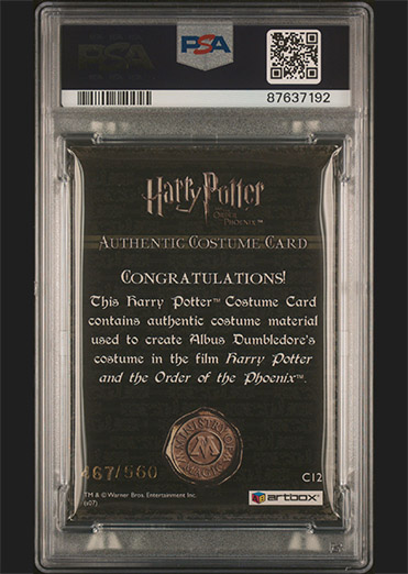 C12 - Albus Dumbledore's Costume - Back